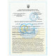 Грунтівка Старт універсальна 10 л MAXT LTD, MAXT-20, MAXT LTD