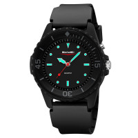 Skmei 2433BK Black