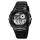 Skmei 2517BK Black