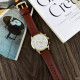 Guardo B01338-4 Brown-Gold-White