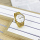 Mini Focus MF0181G Gold-White, 1095-0076, Mini Focus