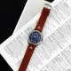 Guardo 10281-1 Brown-Silver-Blue