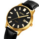 Skmei 2252GDBK Gold-Black