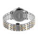Skmei 9272TGDBK-B Gold/Silver-Black Men