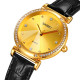 Skmei 2072GD Gold