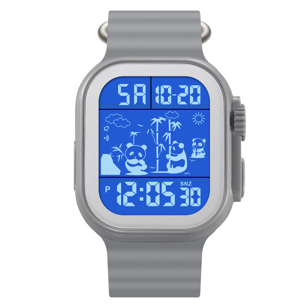 Skmei 2247GY Grey