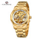 Forsining 8240 Gold-White Steel