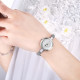 Skmei 1390SI Silver