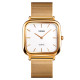 Skmei 1555SGD Gold