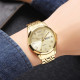 Skmei 2291GDGD Gold-Gold